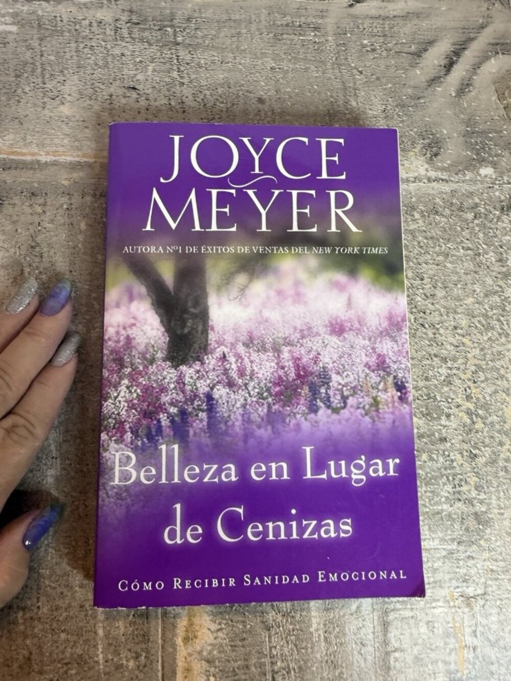 Belleza en Lugar de Cenizas : Como Recibir Sanidad Emocional by Joyce Meyer...